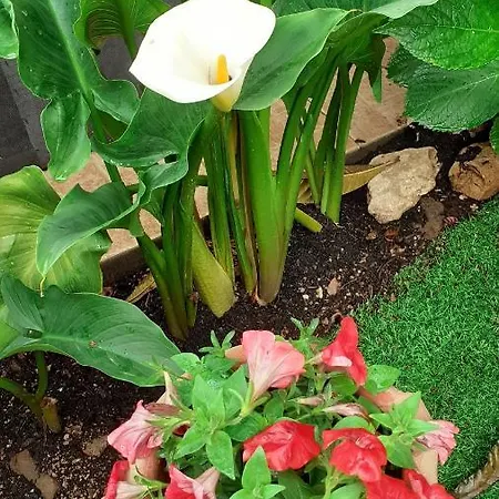 בית אירוח With Private Bathroom, No Smoking *