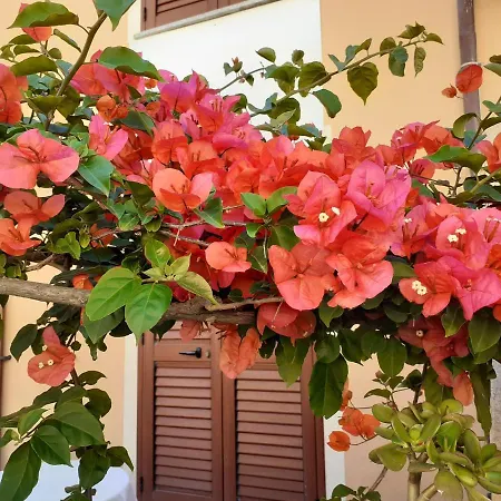 With Private Bathroom, No Smoking