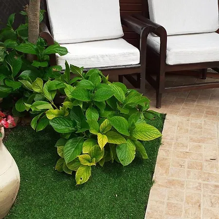 With Private Bathroom, No Smoking Homestay