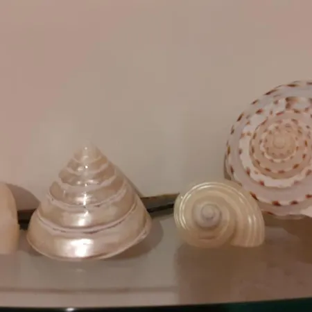 With Private Bathroom, No Smoking Palau