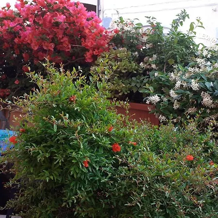 With Private Bathroom, No Smoking Homestay szállás Palau