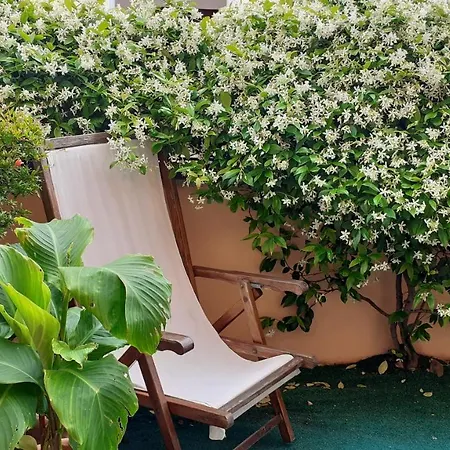 Homestay With Private Bathroom, No Smoking Palau