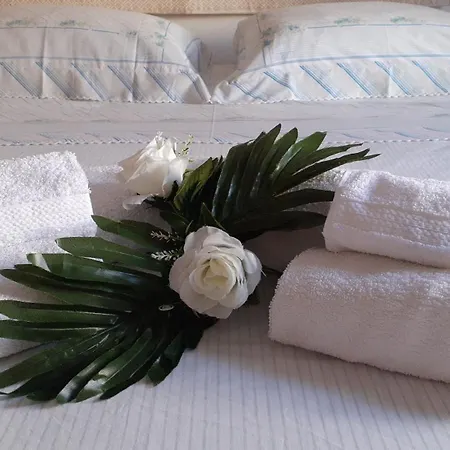 With Private Bathroom, No Smoking Homestay Palau