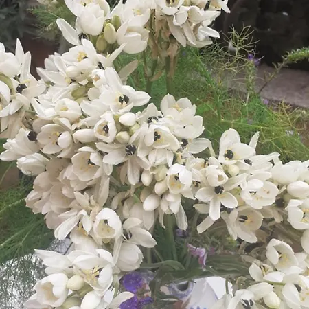 With Private Bathroom, No Smoking Homestay szállás