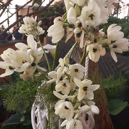 With Private Bathroom, No Smoking Homestay szállás Palau