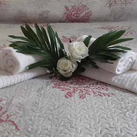 With Private Bathroom, No Smoking Homestay szállás Palau